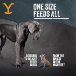 Yellowstone Limited Ingredient Dog Treats Beef Brisket - Healthy Dog Treats Made in USA - Air Dried Beef Collagen Dog Jerky Treats - Crunchy & Chewy Dog Treats - Beef Dog Treats Jerky - 4 oz