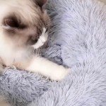 Adbsnxgz Cat Beds for Indoor Cats, Calming Soft Plush Donut Cuddler Cushion, 15 inches Dog Bed Machine Washable, Fluffy Round Pet Bed Non-Slip for 3Kg Pet, Light Grey ﻿