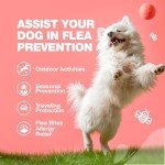 Dog Flea and Tick Treatment Chews - Flea and Tick Prevention for Dogs - Flea & Tick Chewables - Natural Dog Flea & Tick Control Soft Treats - Flea Chewables for Dogs - Immune Support Supplement