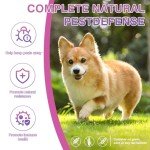 Flea and Tick Prevention Chewable for Dogs Fleas Ticks Treatment Dog Oral Chewables Support Supplement Breeds and Ages Dogs 200 Treatment Chews Natural Soft Chew