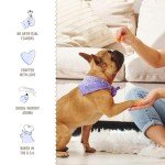 Three Dog Bakery Quiche Bites - Natural Dog Treats, Low Fat Puppy Treats, Dog Training Treats with Real Eggs, Bacon, Cheese & Spinach, Dog Treat Cookies, Dog Biscuits