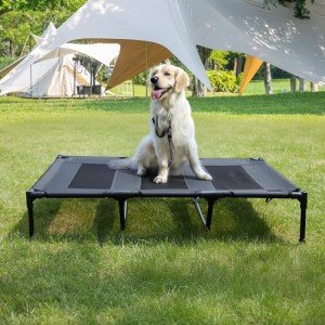 PETNOVO Elevated Dog Bed, Orignal Cooling Washable Dog Cot Bed XL, Portable Raised Dog Bed with Mesh for Outdoor and Indoor 49"x37"x9" Grey