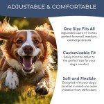 Flea and Tick Collar for Dogs and Cats- Lasts Up to 8-Months Using Natural Plant-Based Oils - Safe for Pets, People and The Environment - 2-Pack Flea Collar for Dogs and Cats