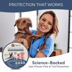 Flea and Tick Collar for Dogs and Cats- Lasts Up to 8-Months Using Natural Plant-Based Oils - Safe for Pets, People and The Environment - 2-Pack Flea Collar for Dogs and Cats