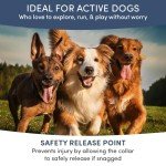 Flea and Tick Collar for Dogs and Cats- Lasts Up to 8-Months Using Natural Plant-Based Oils - Safe for Pets, People and The Environment - 2-Pack Flea Collar for Dogs and Cats