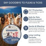 Flea and Tick Collar for Dogs and Cats- Lasts Up to 8-Months Using Natural Plant-Based Oils - Safe for Pets, People and The Environment - 2-Pack Flea Collar for Dogs and Cats
