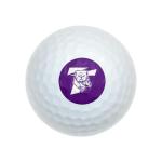 Truman State University Wilson Golf Balls 12 Pack