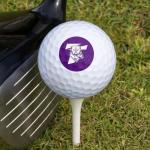 Truman State University Wilson Golf Balls 12 Pack