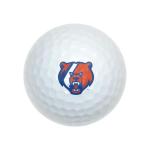US Coast Guard Academy Wilson Golf Balls 12 Pack