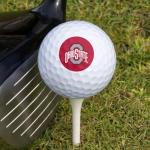 Ohio State University Logo Wilson Golf Balls 12 Pack