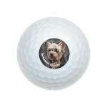 Wilson Yorkie Golf Balls 12-Pack, Full Color