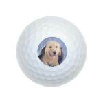 Wilson Golf Balls 12 Pack - Golden Retriever Design