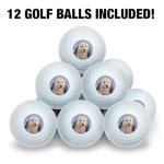 Wilson Golf Balls 12 Pack - Golden Retriever Design