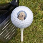 Wilson Golf Balls 12 Pack - Golden Retriever Design