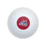 Stony Brook University Logo Wilson Golf Balls 12 Pack