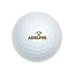 Adelphi University Wilson Premium Golf Balls 12 Pack