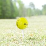 Srixon Q Star Mix Yellow Golf Balls - 24 Pack