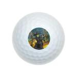 Wizard of Oz Wicked Witch Golf Balls 12 Pack