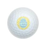 Cute Blue Easter Egg with Daisies Wilson Golf Balls 12 Pack, Regulation Size Full Color Premium Golf Balls