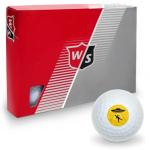 Wilson Alien Abduction Warning Sign Golf Balls 12 Pack
