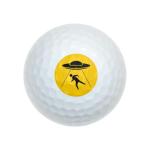 Wilson Alien Abduction Warning Sign Golf Balls 12 Pack