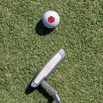 Wilson Ladybug Golf Balls 12 Pack