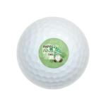 St. Patrick's Day Gnome Golf Balls 12 Pack