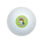 Unicorn Humor Wilson Golf Balls 12 Pack
