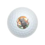 Koala Eucalyptus Tree Wilson Golf Balls 12 Pack