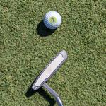 Unicorn Humor Wilson Golf Balls 12 Pack