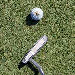 Koala Eucalyptus Tree Wilson Golf Balls 12 Pack