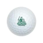 Illinois Wesleyan University Wilson Golf Balls 12-Pack