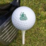 Illinois Wesleyan University Wilson Golf Balls 12-Pack