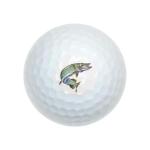 Wilson Premium Golf Balls 12 Pack - Full Color