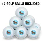 Dachshund Cartoon Wilson Golf Balls 12 Pack