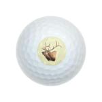 Wilson Elk Head Golf Balls 12 Pack – Premium Quality