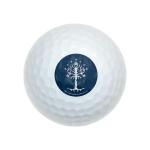 Wilson Golf Balls 12 Pack - Tree of Gondor Design