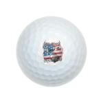 Wilson USA Flag Hunting Golf Balls 12 Pack