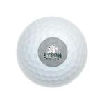 Lake Erie College Logo Wilson Golf Balls 12 Pack