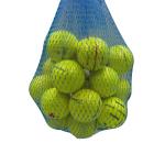 Titleist Pro V1x 2023 Yellow Golf Balls (24 Pack)