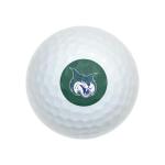 Georgia College Logo Wilson Golf Balls 12 Pack