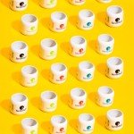 BirdieBall Limited Flight Practice Golf Balls (12 Pack)