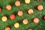 48 Assorted Orange Golf Balls with Carrying Bag