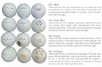 Callaway Golf Balls - 72 Pack in Mesh Bag