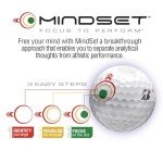 Bridgestone 2024 Tour B RX Golf Balls