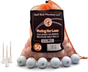 Bridgestone Golf Balls Mix with Tees & Bag