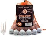Bridgestone Golf Balls Mix with Tees & Bag