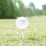 24 Recycled Titleist Pro V1 Golf Balls Set