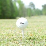 24 Recycled Titleist Pro V1 Golf Balls Set