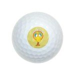 Big Bird Be Kind Wilson Golf Balls - 12 Pack